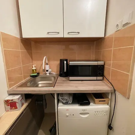 Apartment Stepanska